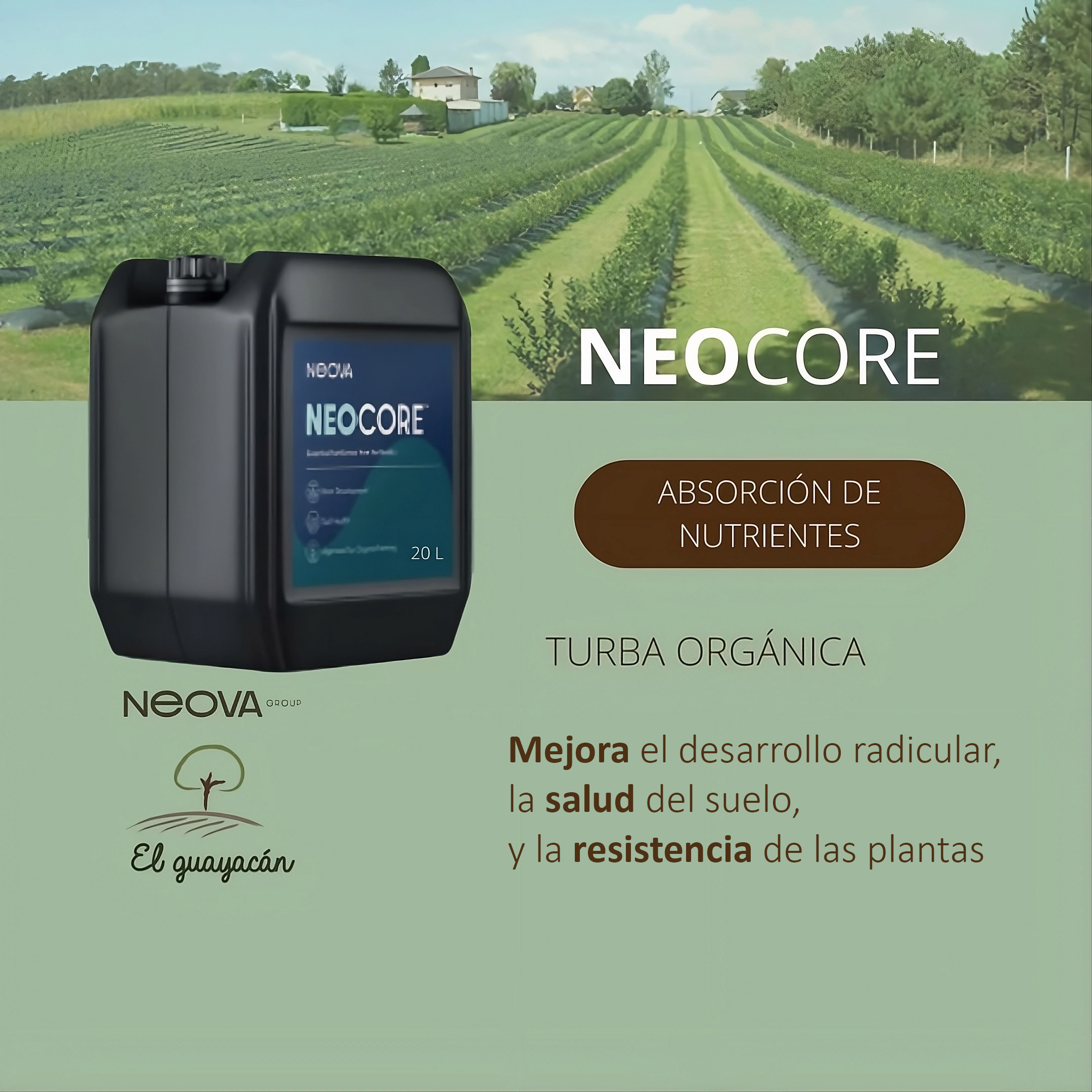 Bidón de bioactivador NEOCORE