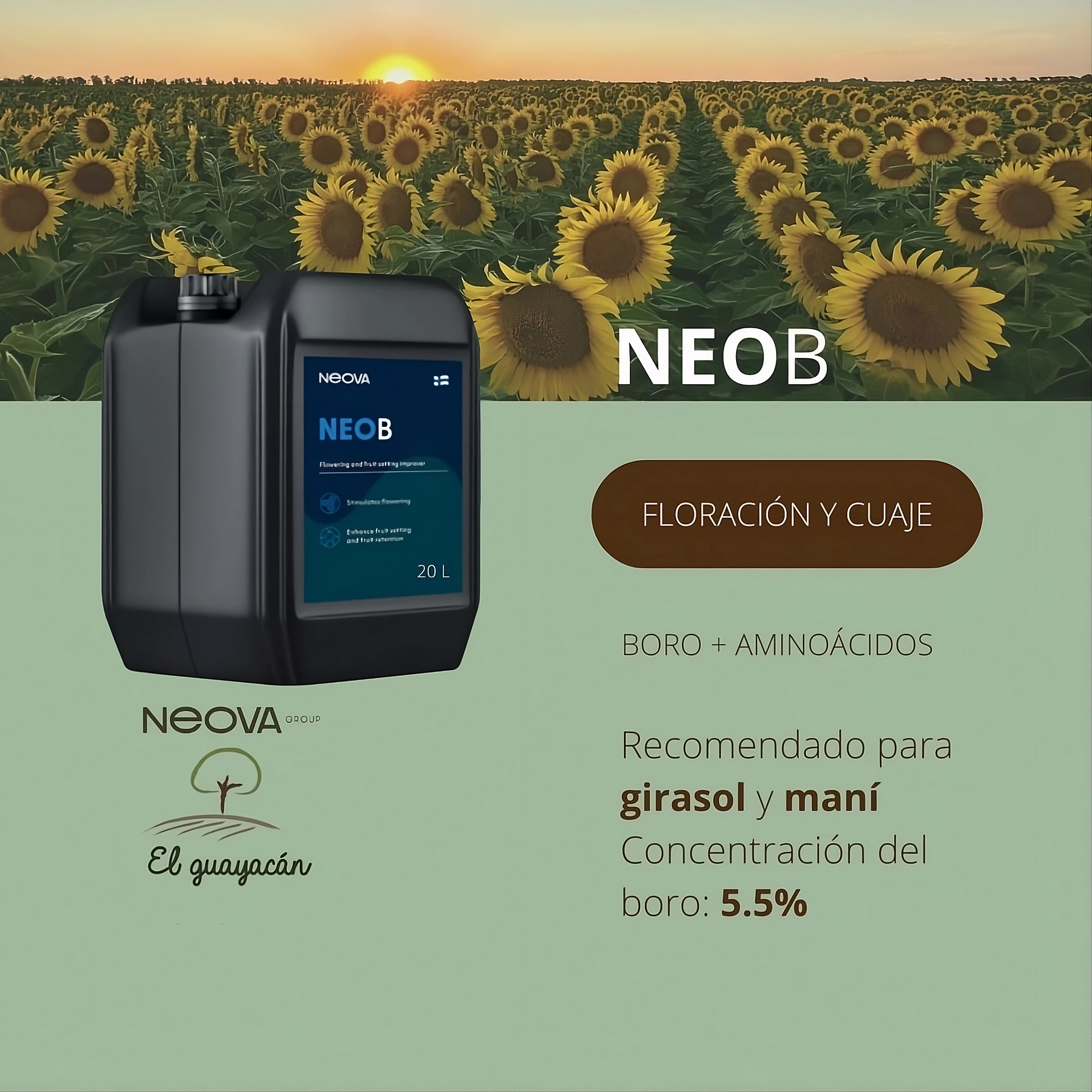 Bidón de fertilizante foliar NEOB