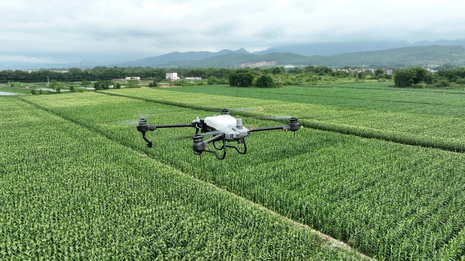 Equipo de trabajo El Guayacán con Drones DJI